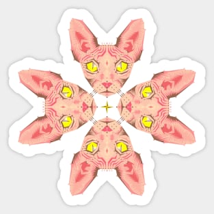 Sphynx Cat Pink Sticker